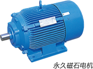 永久磁石(IPM)電機(jī).jpg